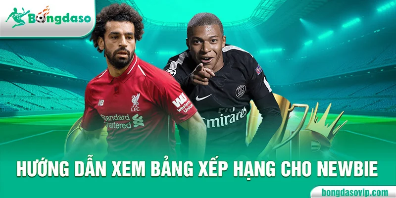 Hướng dẫn xem bảng xếp hạng cho newbie
